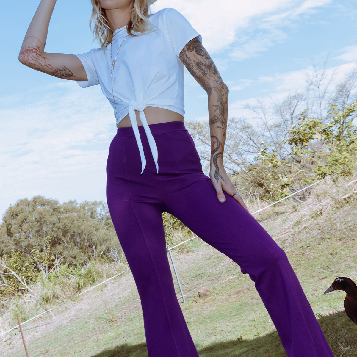 eggplant purple slacks