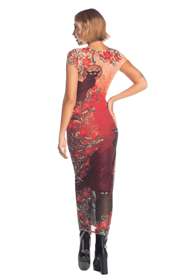 Le Chat Noir Sheer Cap Sleeve Bodycon Dress