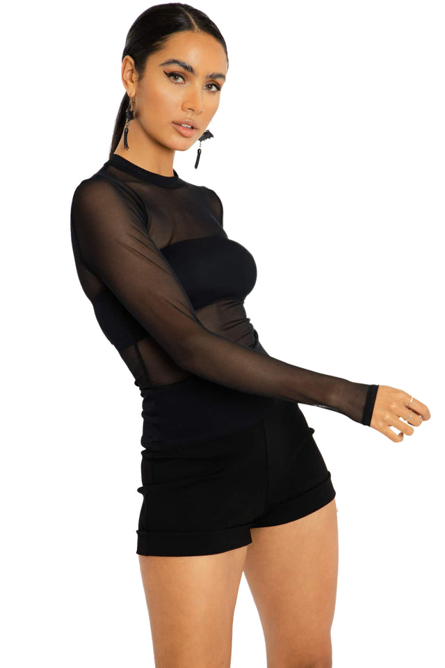 Sheer High Neck Long Sleeve Top