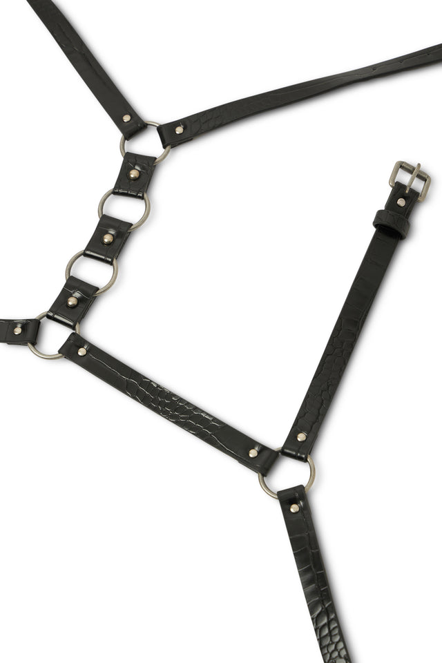 Animal Instinct Harness