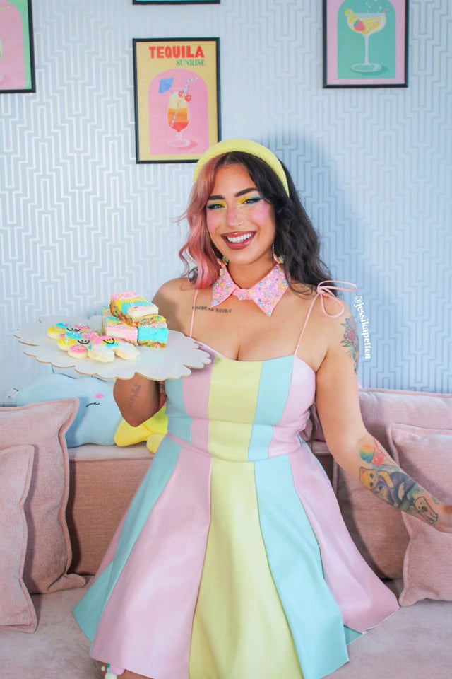 Carousel Charley Skater Skirt