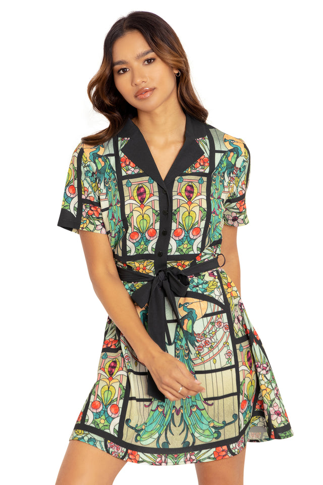 Glass Garden Shirt Dress Front