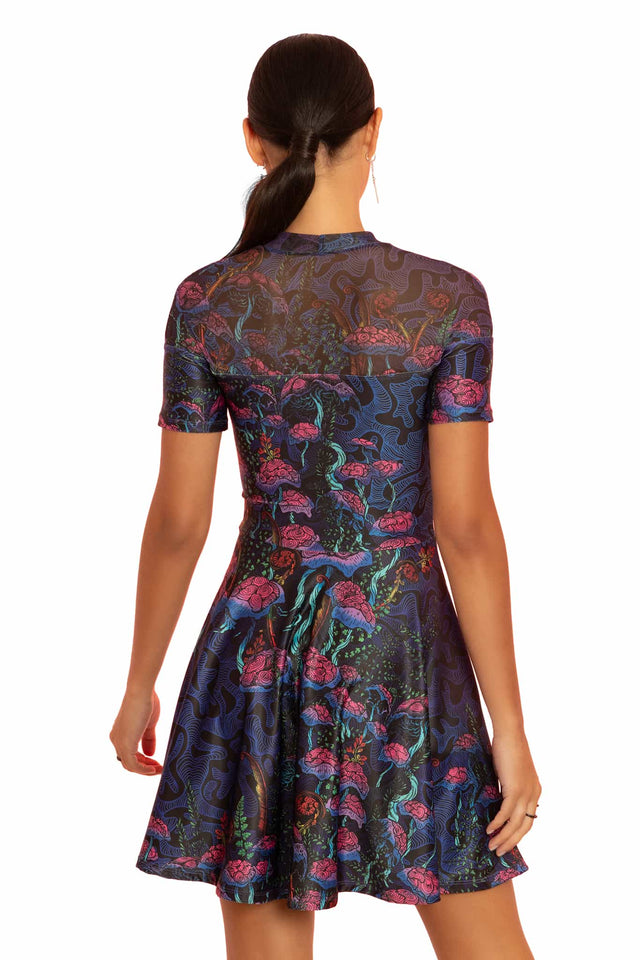 The Garden of Nutrients Sheer Splice Skater Dress