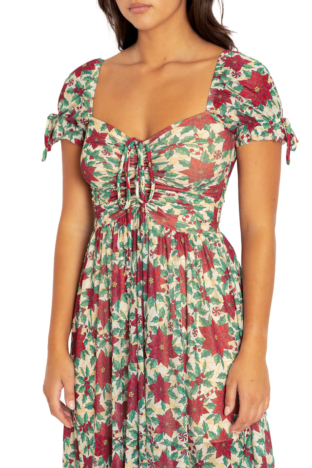 Poinsettia Tea Party Dress Print