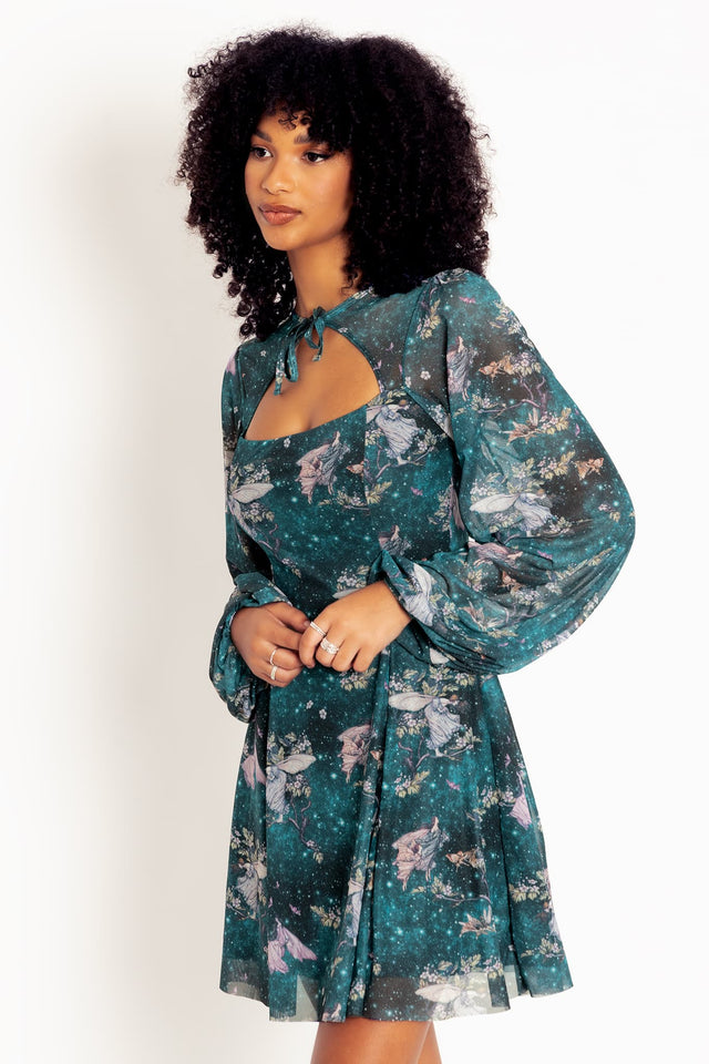 Rackham's Fairies Shrug Bishop Dress