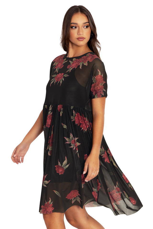 dragon mesh dress Impho Long Sleeve Dress in Black Mesh Tan Dragon Flock