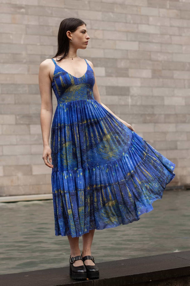 Starry Night Over The Rhône Sheer Midaxi Dress