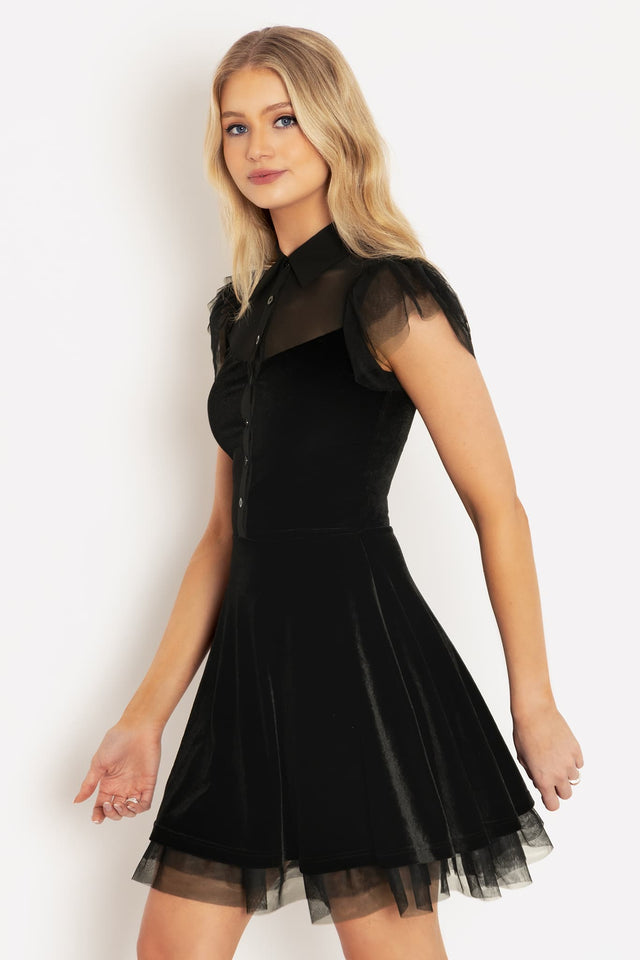 Black Swan Short Sleeve Dress