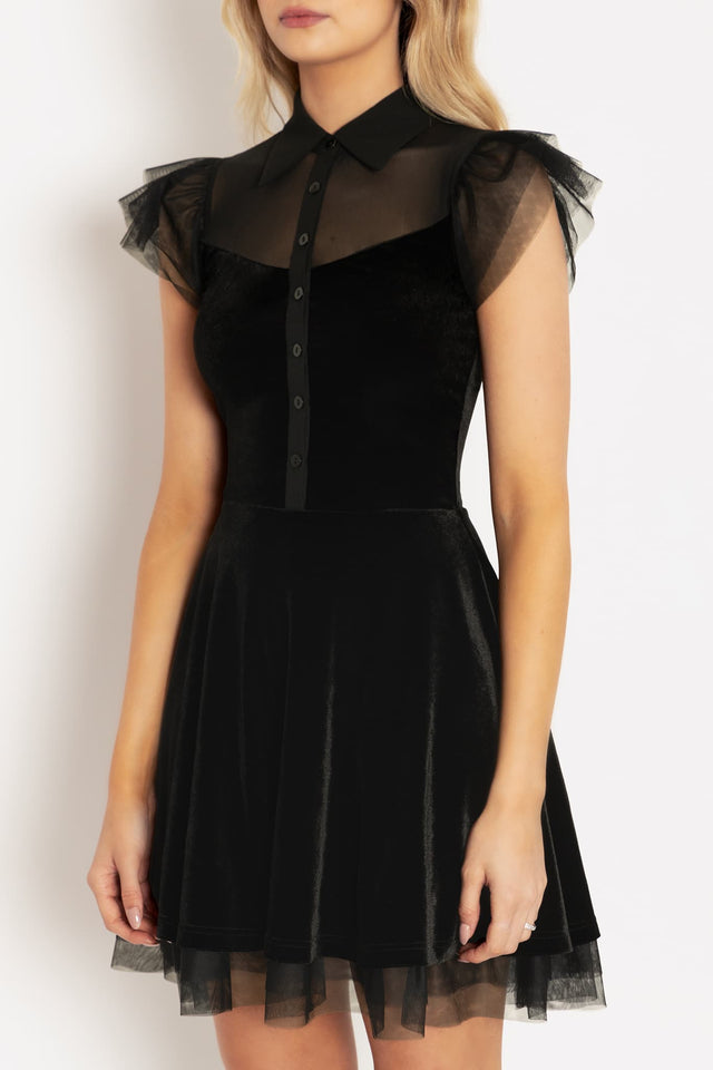Black Swan Short Sleeve Dress