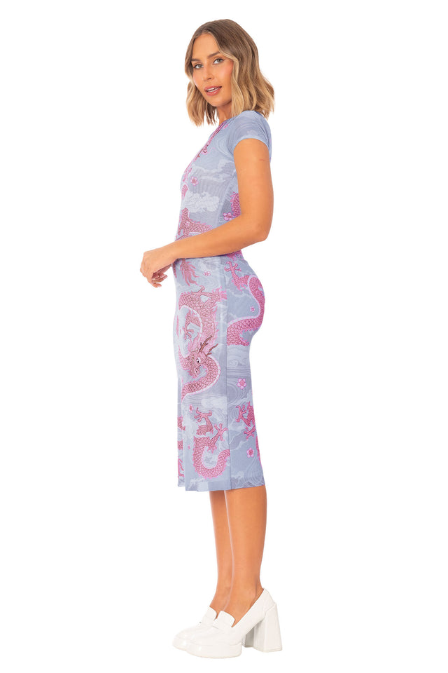 Blushing Dragon Sheer Cap Sleeve Bodycon Dress