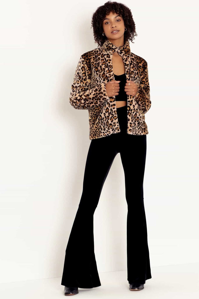 Claws Out Shorthair Furbulous Jacket