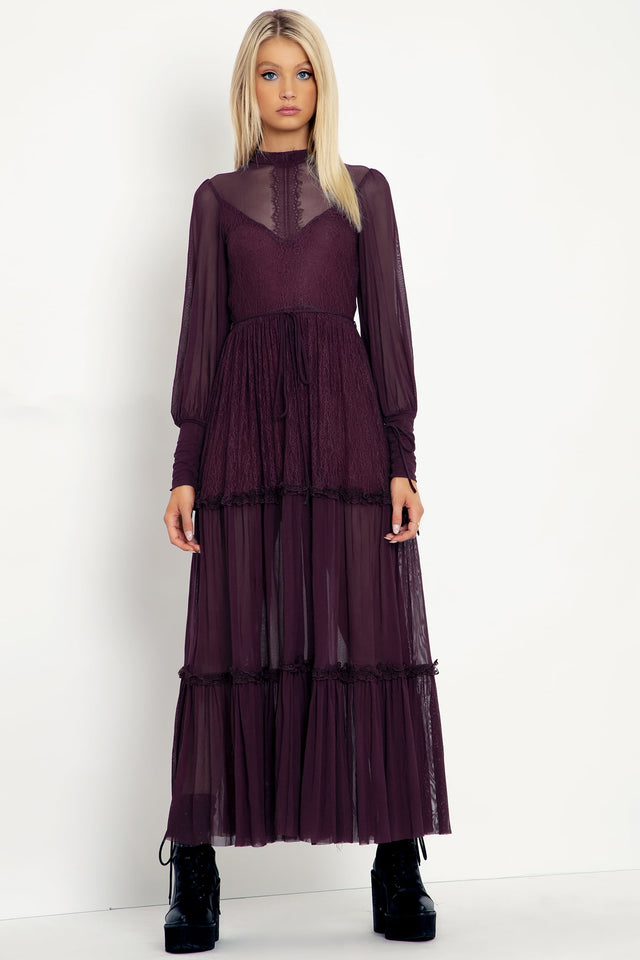 Midnight Ritual Wine Sheer Maxi Dress
