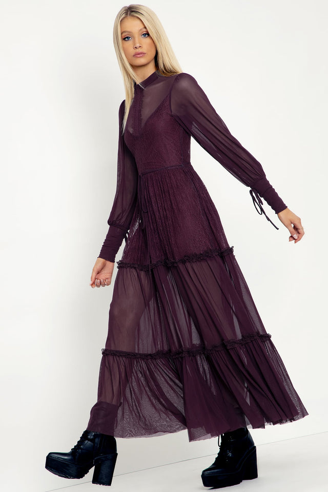 Midnight Ritual Wine Sheer Maxi Dress