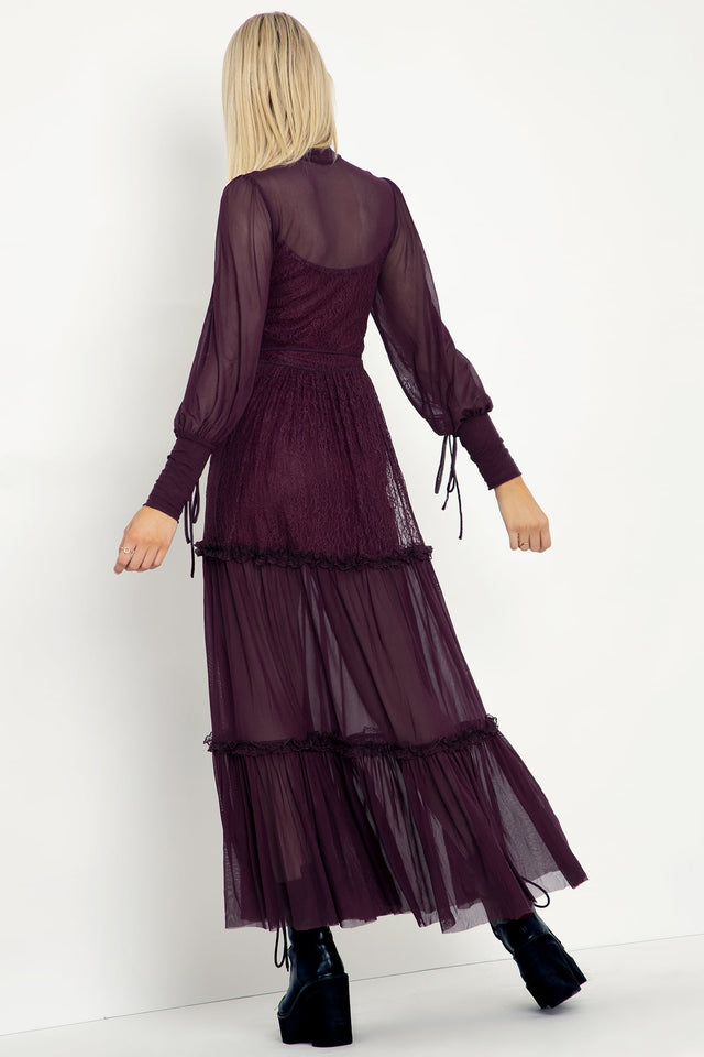 Midnight Ritual Wine Sheer Maxi Dress