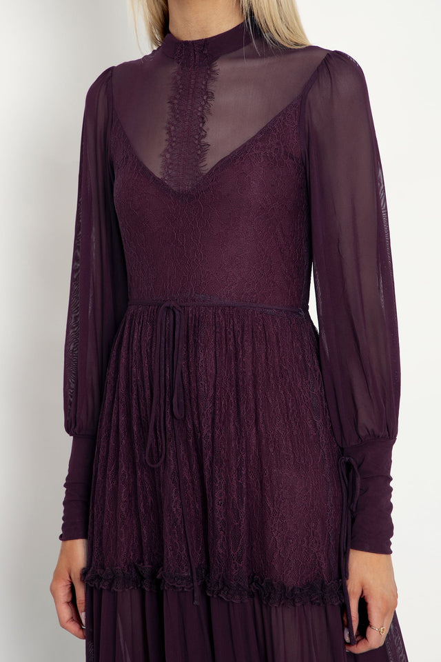 Midnight Ritual Wine Sheer Maxi Dress