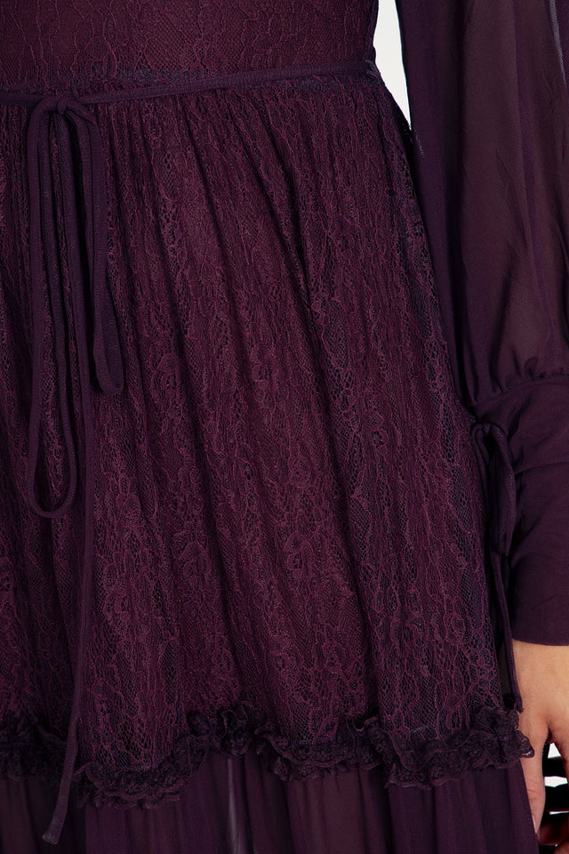 Midnight Ritual Wine Sheer Maxi Dress