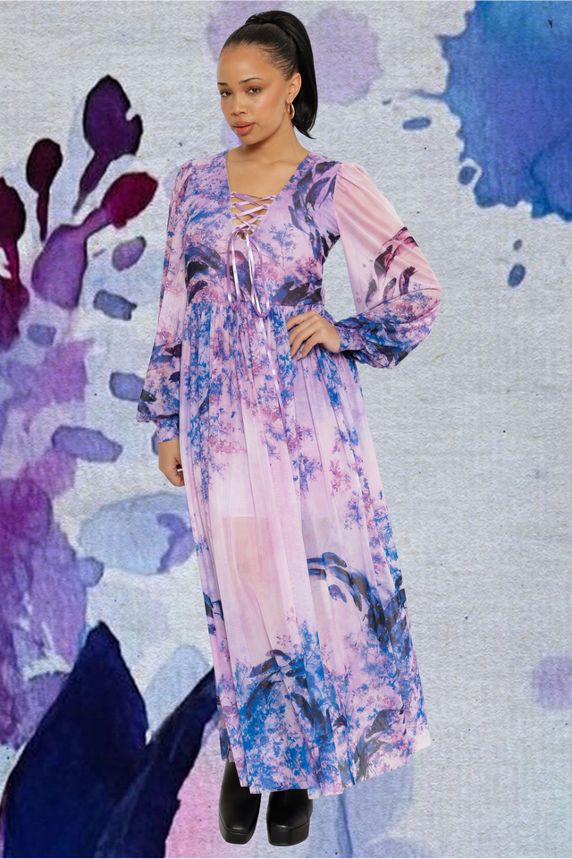 Mischief In The Fields Sheer Bishop Maxi Dress