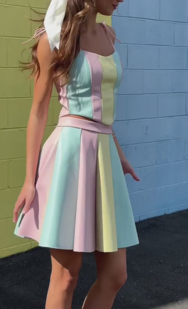 Carousel Charley Skater Skirt