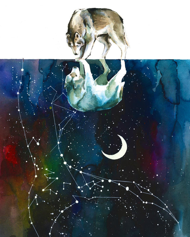 Artistic depiction of a wolf and a person with a starry night sky and constellation in the background.