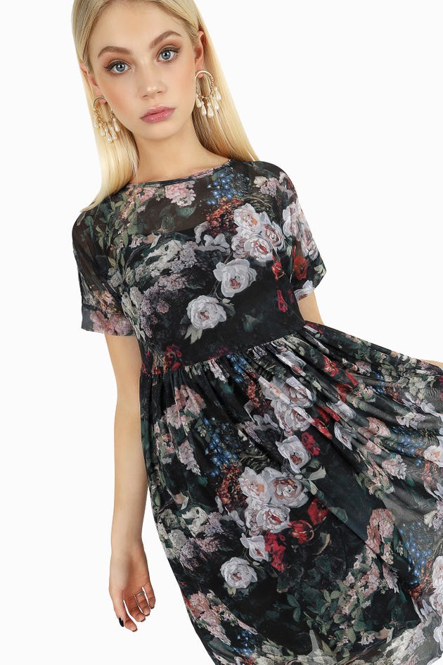 Sheer Monet Dress