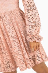 Blush Lace Long Sleeve Dress
