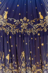 Sailor Guardians Stars Sheer Midaxi Dress 2.0