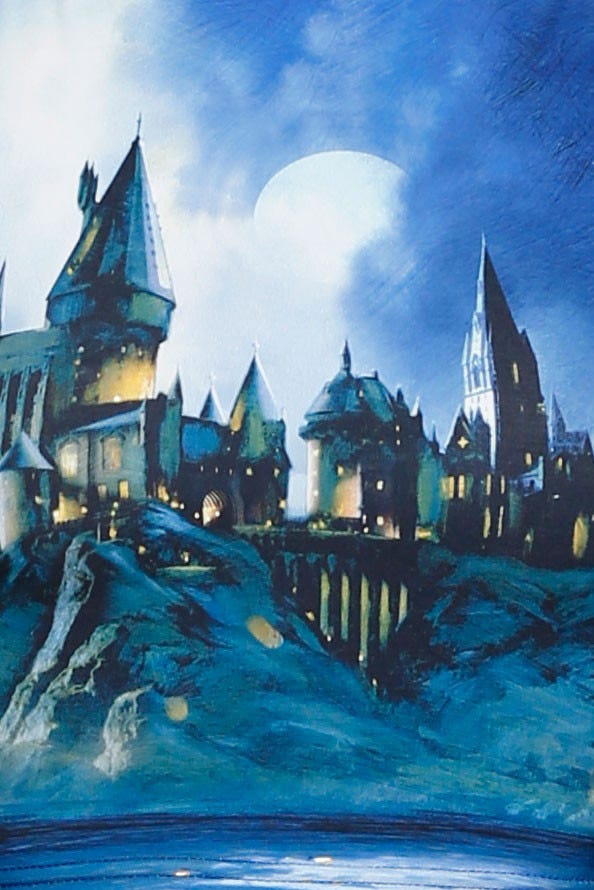 Hogwarts Castle Wifey Top