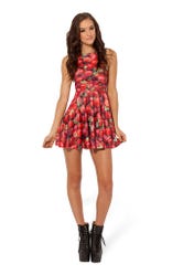 Strawberry Reversible Skater Dress