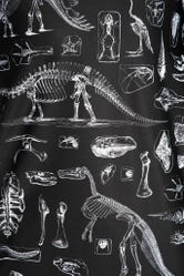 Dino Bones Hoodie Sweater