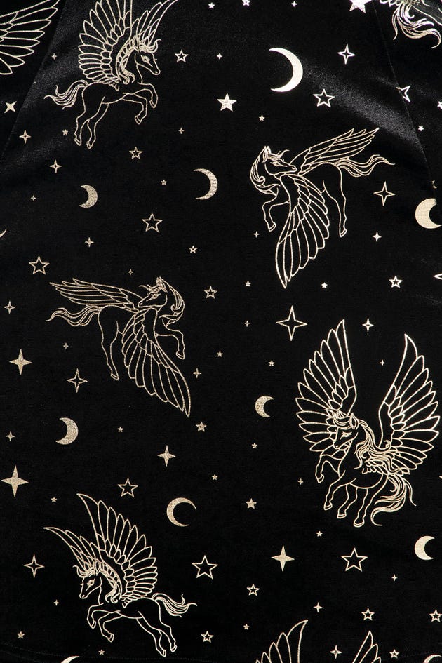 Pegasus In The Sky Velvet Long Sleeve Evil Longline Dress