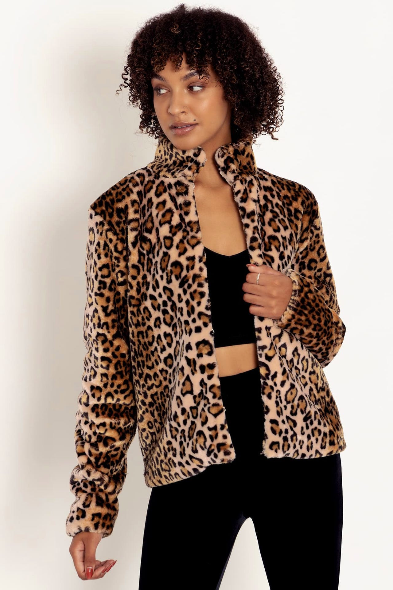 Claws Out Shorthair Furbulous Jacket - Limited