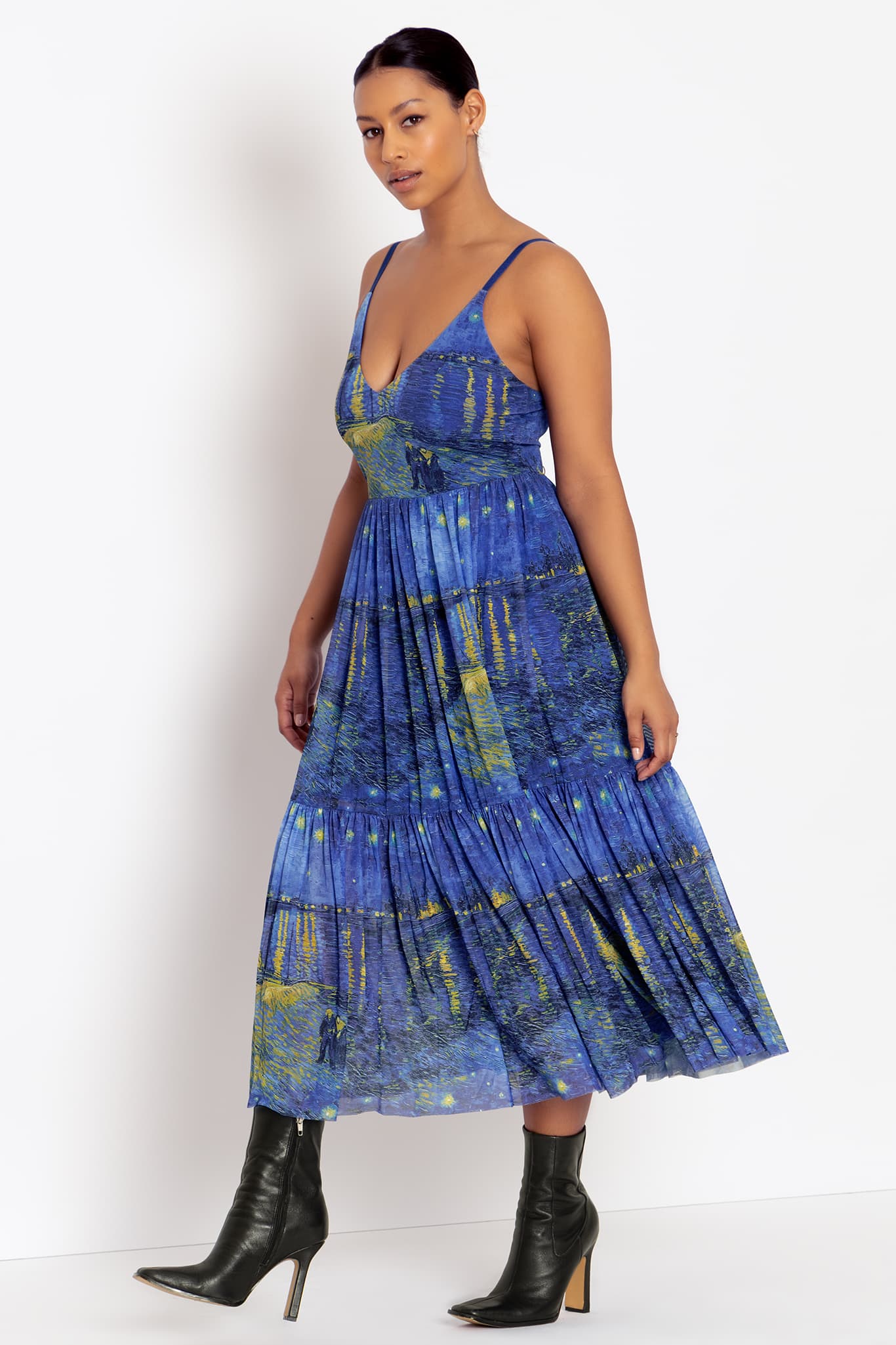 Starry Night Over The Rhône Sheer Midaxi Dress