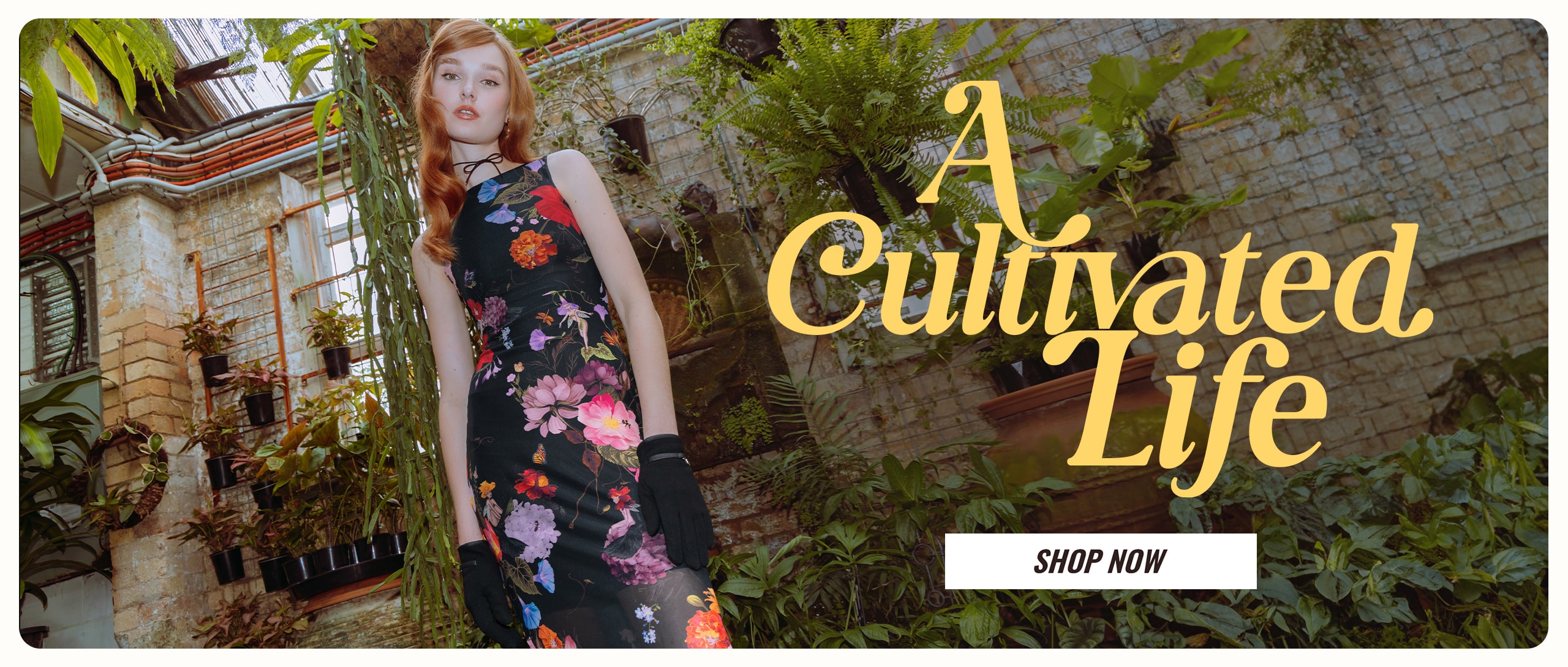 Shop A Cultivated Life